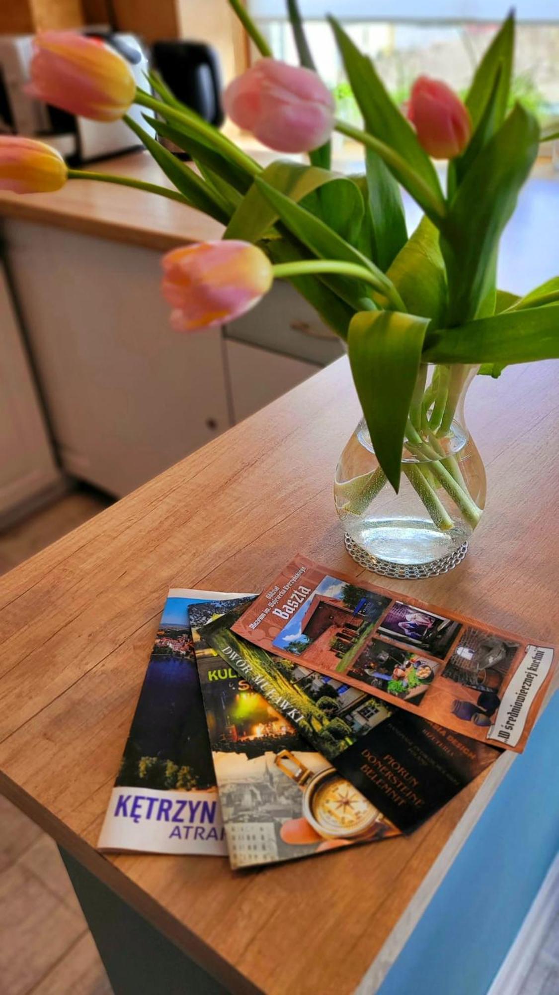 Apartament "Przy Jeziorku" Kętrzyn Extérieur photo